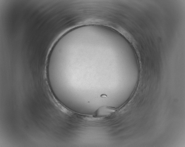 X0000069801296200606021429