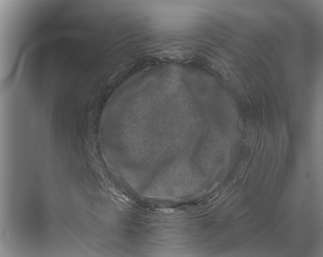 X0000069801297200606021428