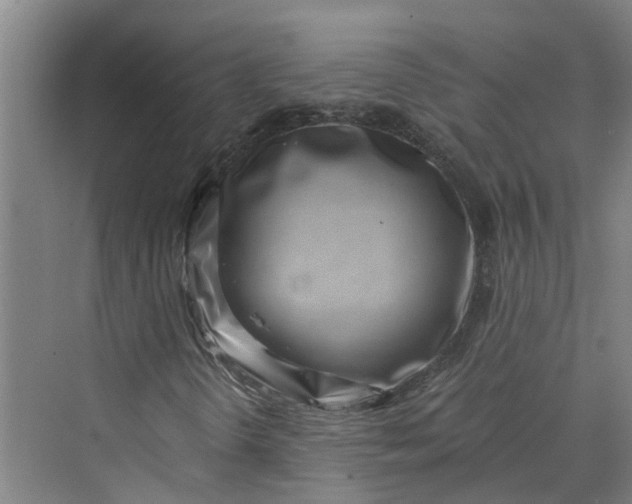 X0000069801298200606021429