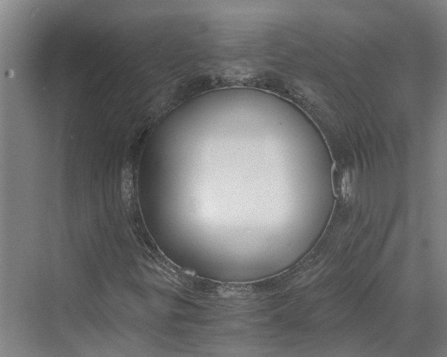 X0000069801299200606021429