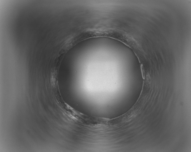 X0000069801300200606021429