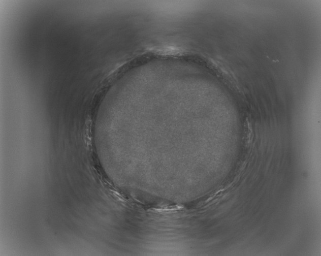 X0000069801301200606021429