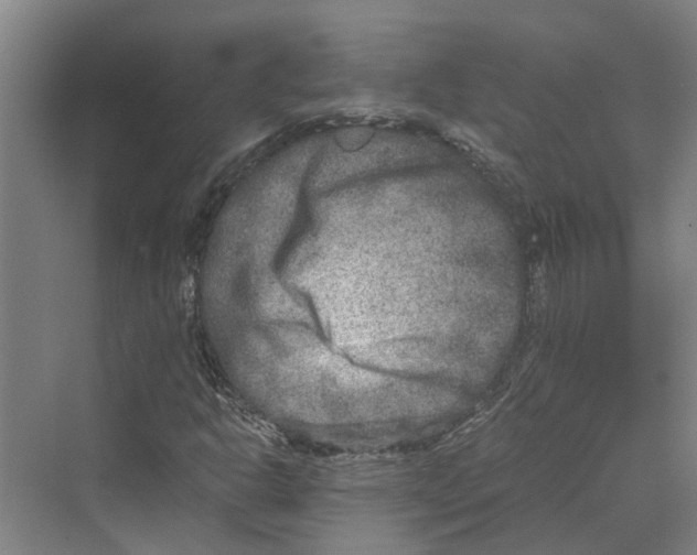 X0000069801302200606021429