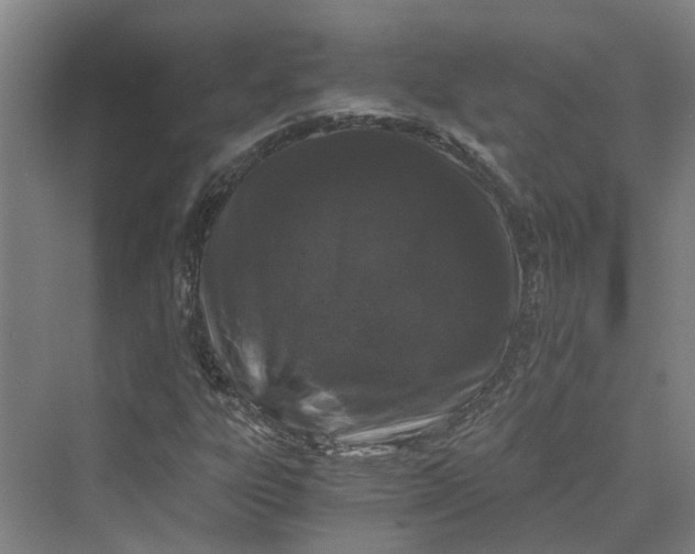 X0000069801303200606021429