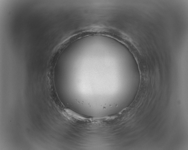 X0000069801304200606021429