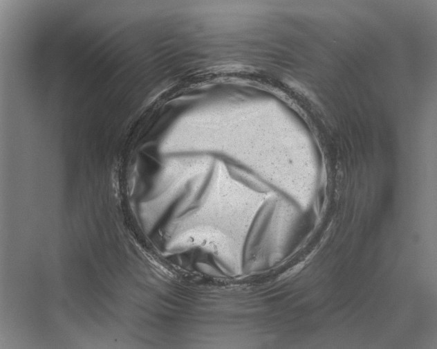 X0000069801305200606021429