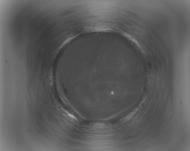 X0000069801306200606021429