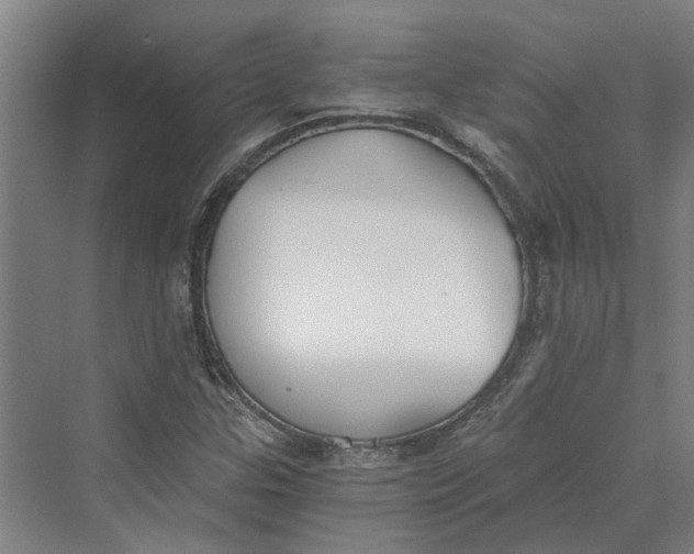 X0000069801307200606021429