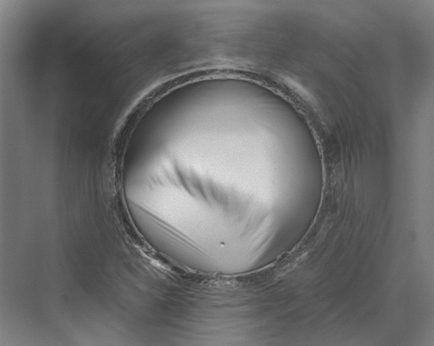 X0000069801310200606021429