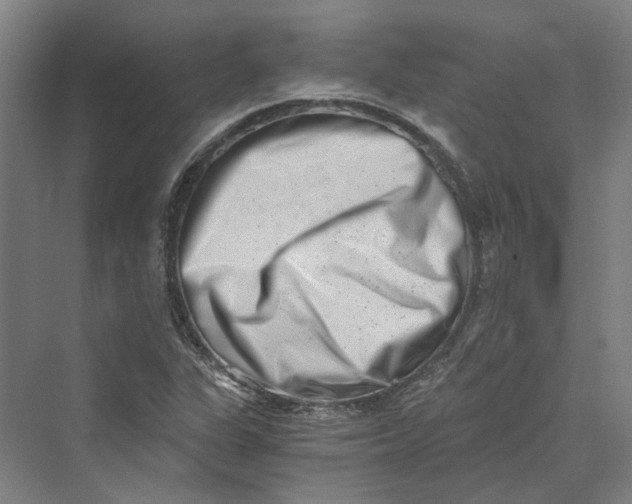 X0000069801311200606021429