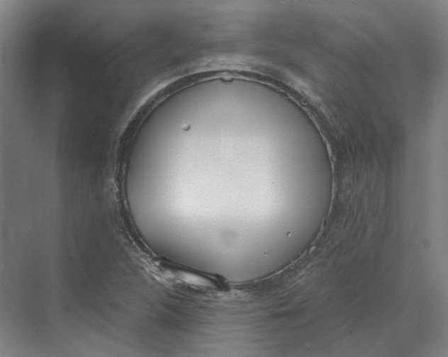 X0000069801312200606021429