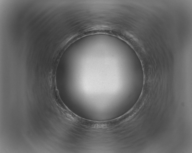 X0000069801313200606021429