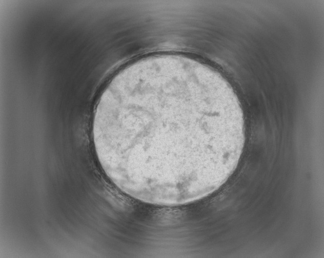 X0000069801314200606021429