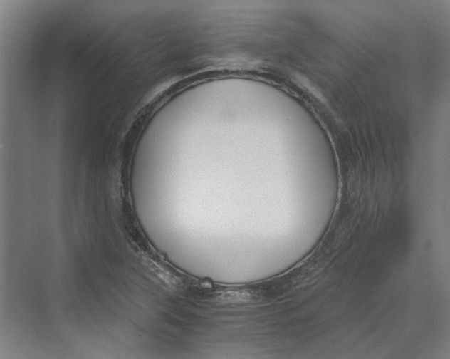 X0000069801315200606021429