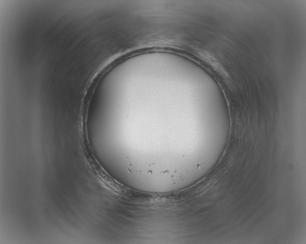 X0000069801316200606021429