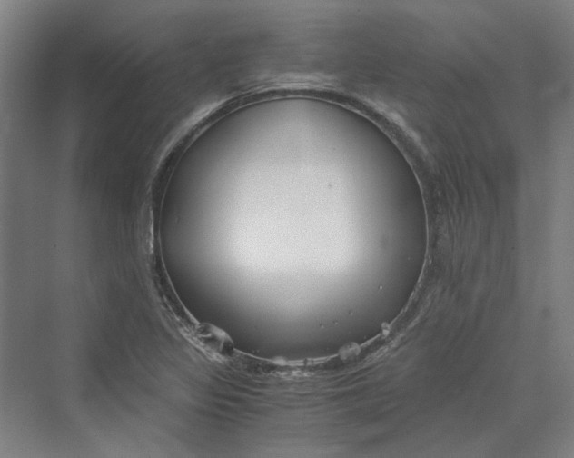 X0000069801317200606021429