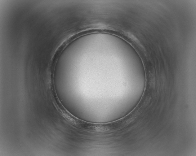 X0000069801318200606021429