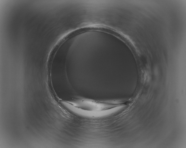 X0000069801319200606021429