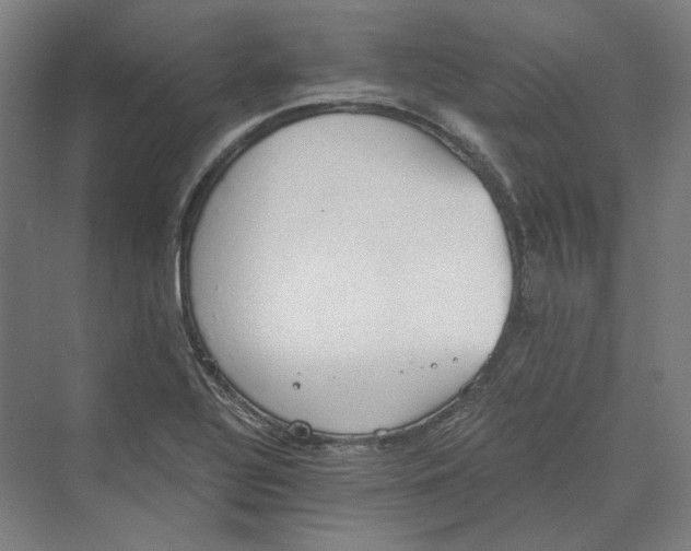 X0000069801320200606021429