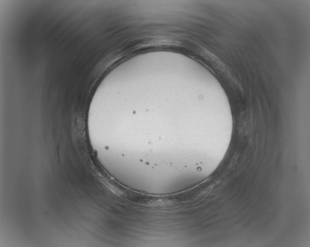 X0000069801321200606021429