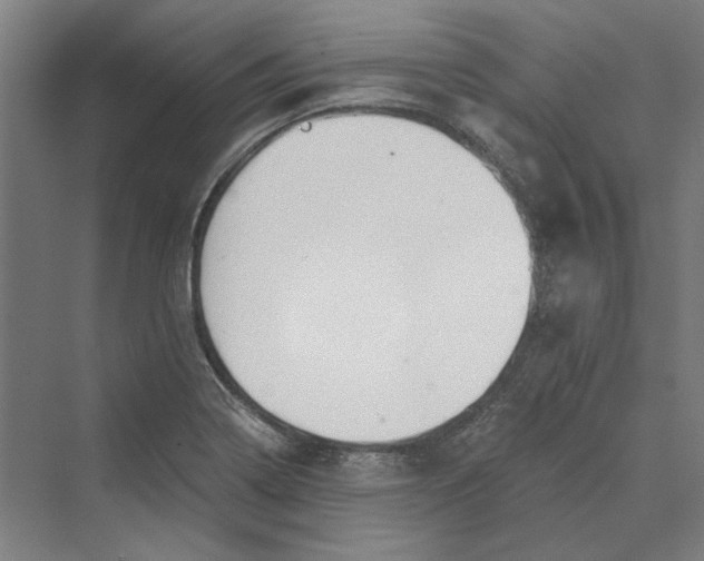 X0000069801322200606021429