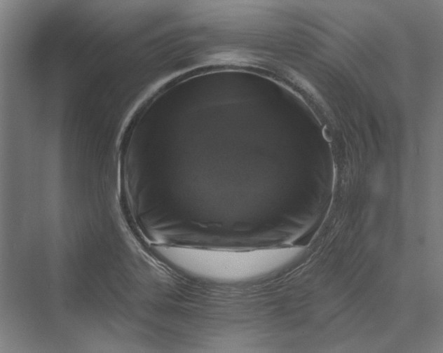 X0000069801323200606021429