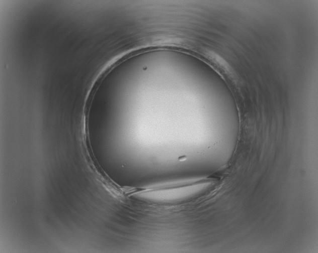 X0000069801324200606021429