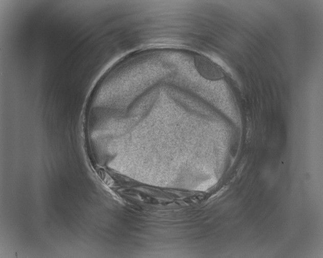 X0000069801325200606021429