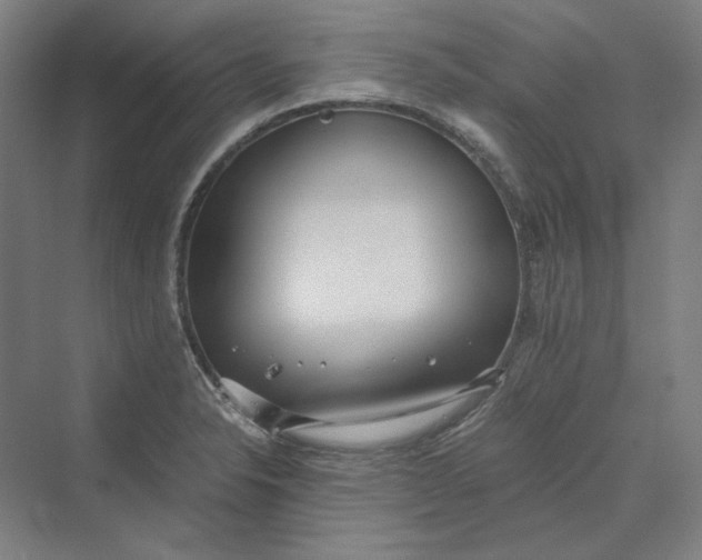 X0000069801326200606021429