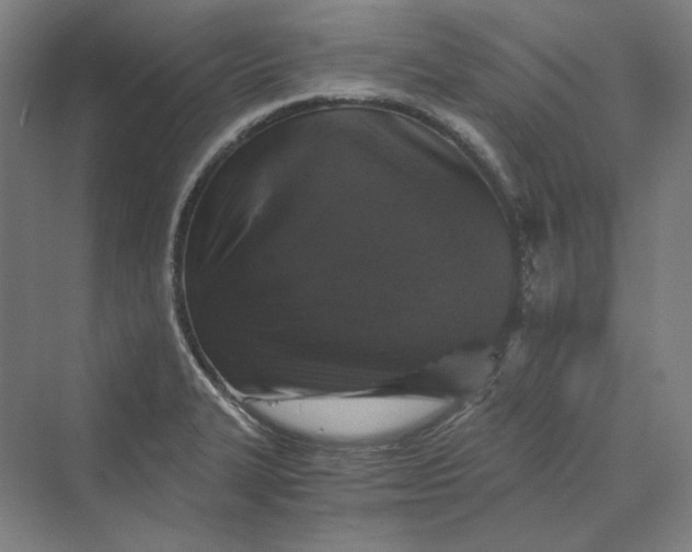 X0000069801327200606021429