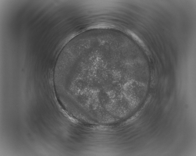 X0000069801329200606021429