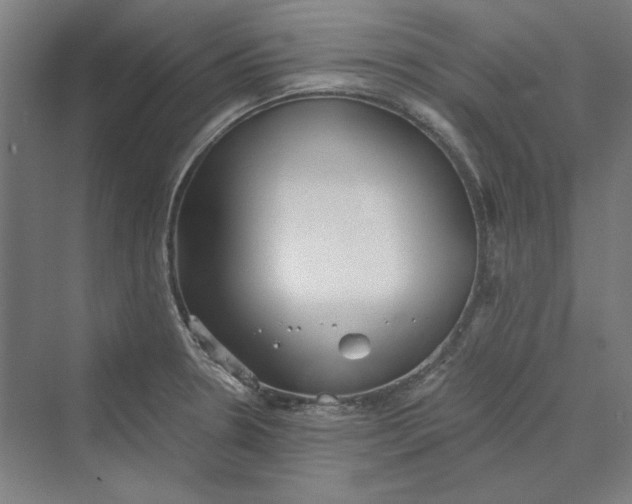 X0000069801330200606021429