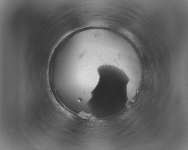 X0000069801331200606021429