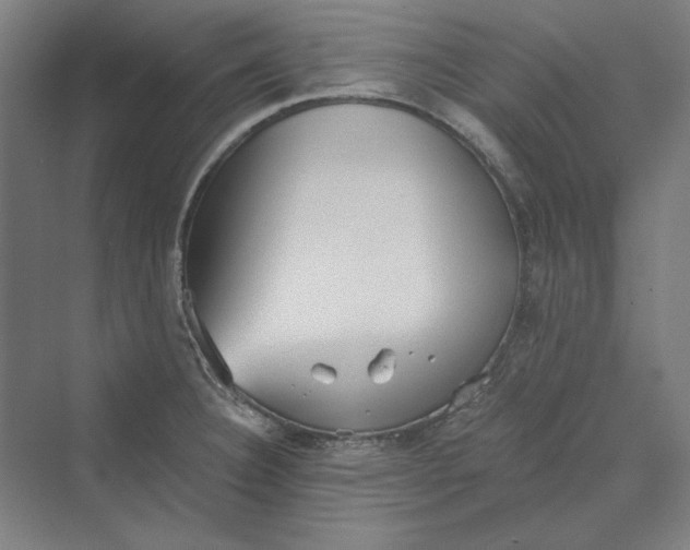 X0000069801332200606021429