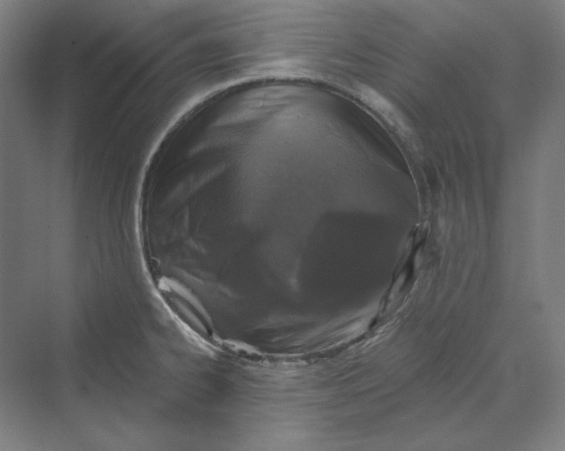 X0000069801334200606021429