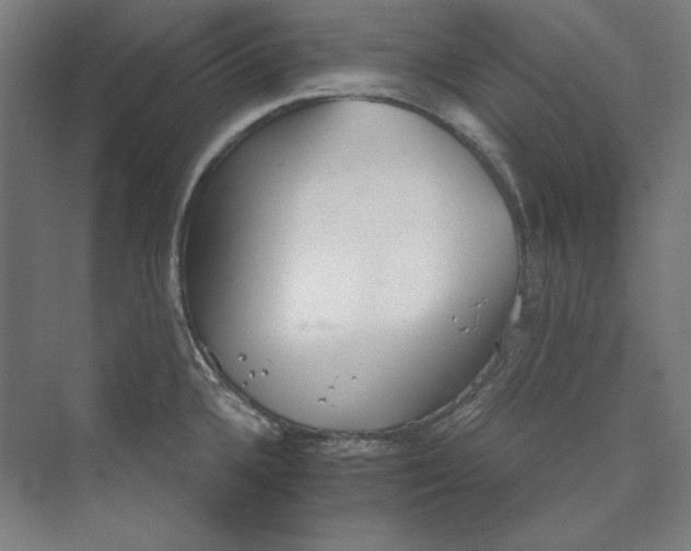 X0000069801336200606021429