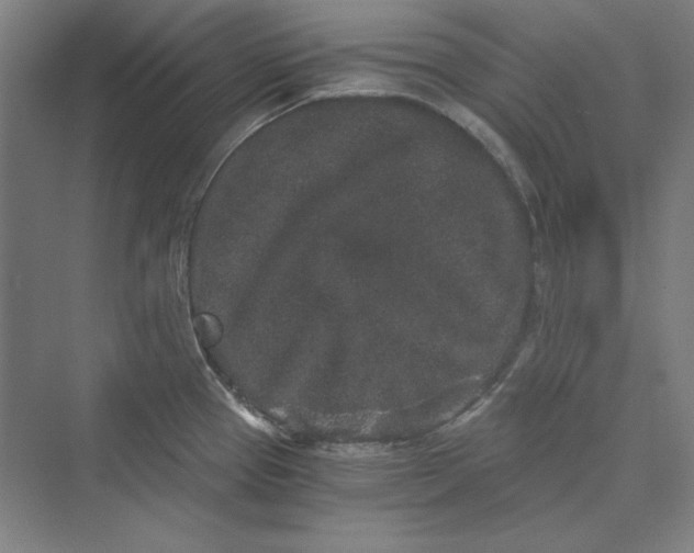 X0000069801337200606021429