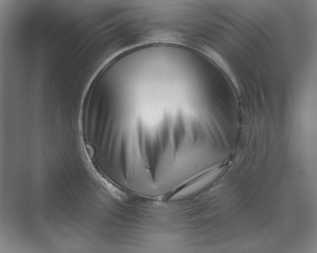 X0000069801339200606021429