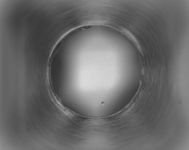 X0000069801340200606021429