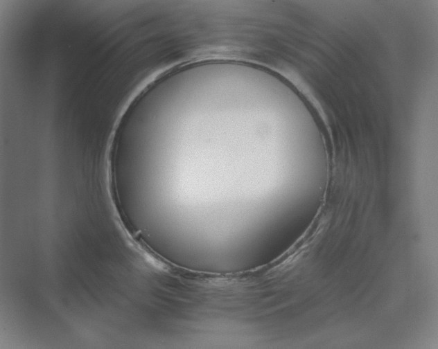 X0000069801341200606021429