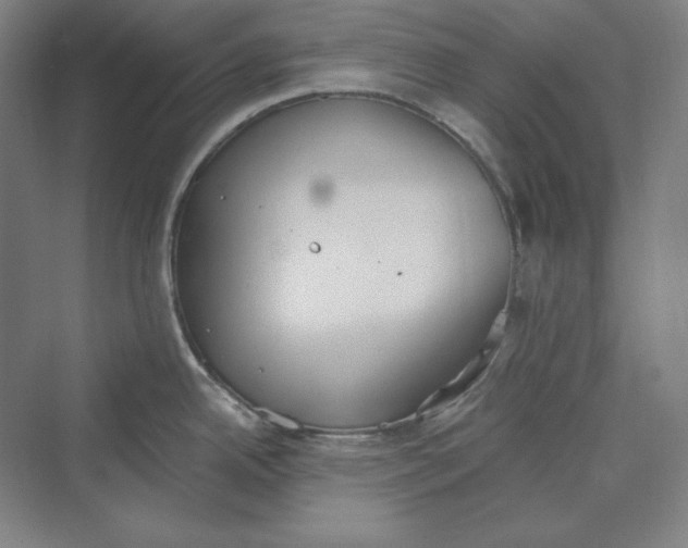 X0000069801342200606021429