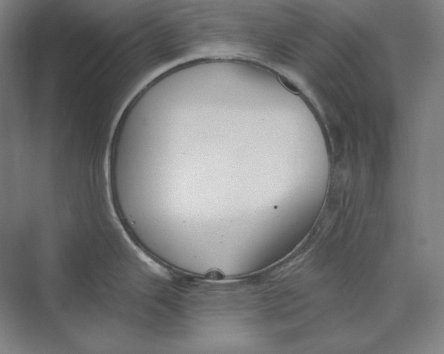 X0000069801343200606021429