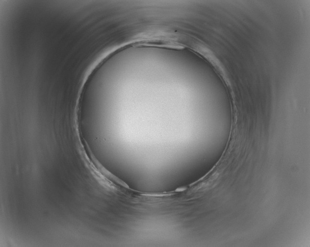 X0000069801344200606021429