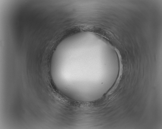 X0000069801345200606021428