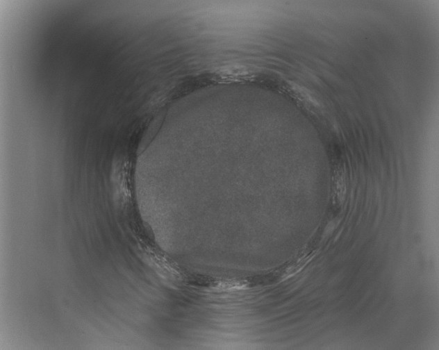 X0000069801346200606021428