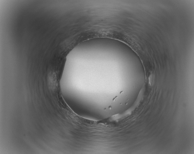 X0000069801347200606021428