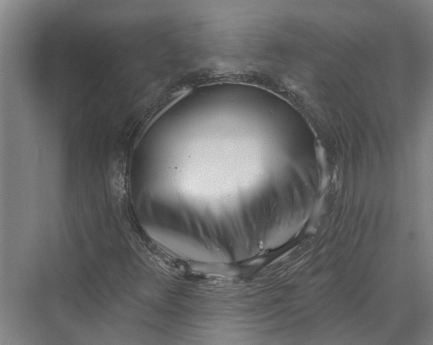 X0000069801348200606021428