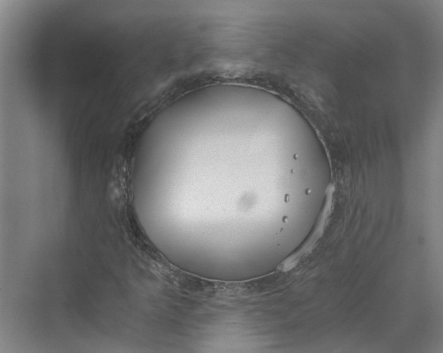 X0000069801349200606021428