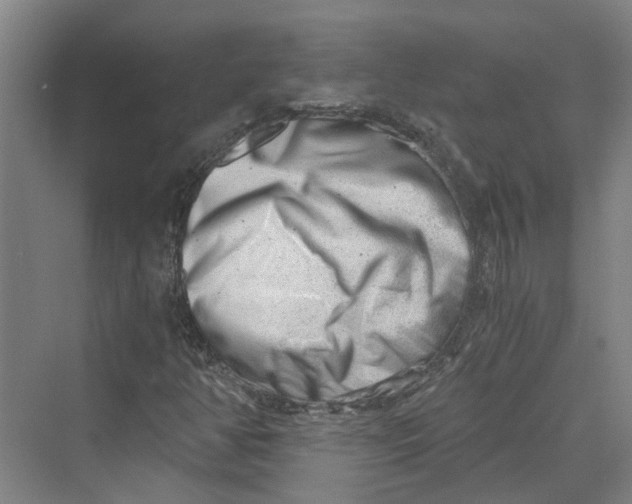 X0000069801350200606021428