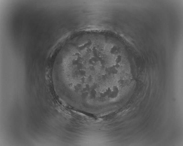 X0000069801351200606021428